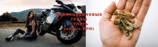 скорость Вяземский