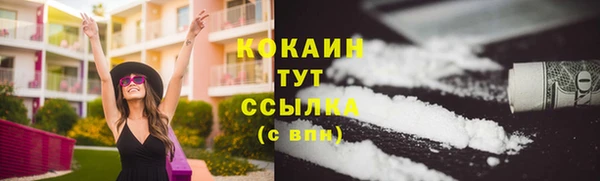шишки Вязьма