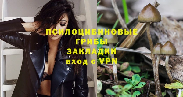 шишки Вязьма