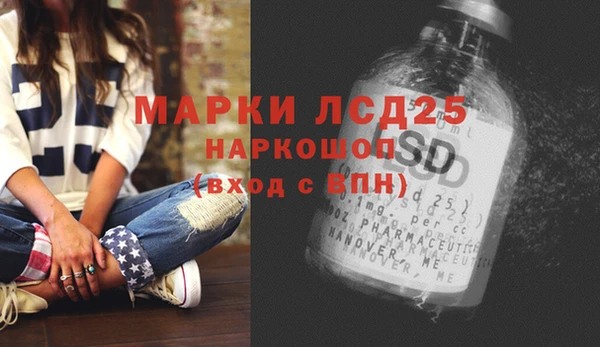 шишки Вязьма