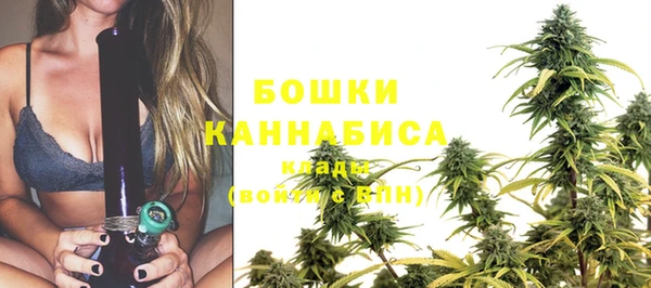 шишки Волоколамск