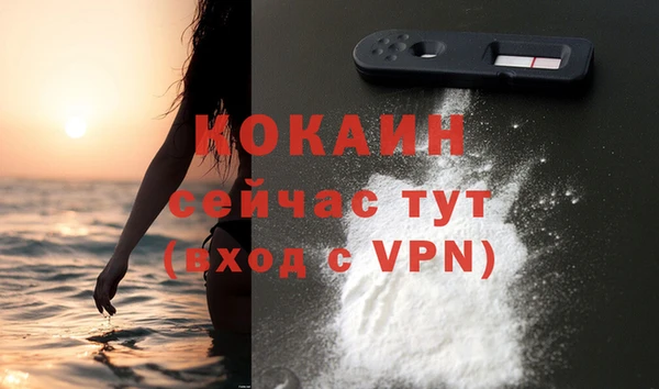шишки Вязьма