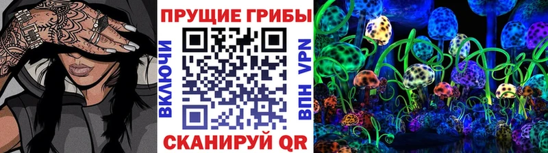 сколько стоит Меленки Псилоцибиновые грибы ЛСД